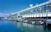 Ovolo Woolloomooloo - Pubs Sydney 0