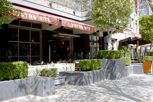 Bistro Vite - Pubs Sydney 0