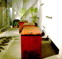 Koi - Pubs Sydney