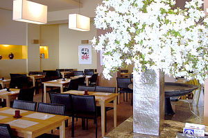 Kuni's - Pubs Sydney 0