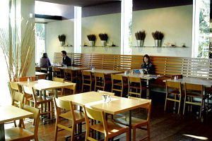 Observatory Cafe - Pubs Sydney 0