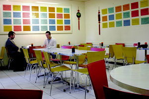 Shanghai Noodle House - Pubs Sydney 0