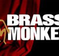 The Brass Monkey - Pubs Sydney