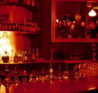 The Night Cat - Pubs Sydney