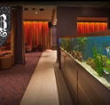 AB Hotel - Pubs Sydney