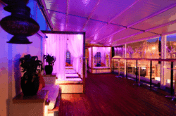 Circus Bar & Night Club - Pubs Sydney 0