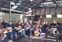 Aldinga Hotel - Pubs Sydney 0