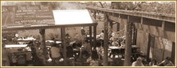 Macquarie Arms Hotel - Pubs Sydney 1