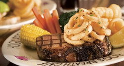 Hogs Breath Cafe - Pubs Sydney 1