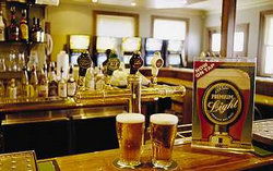 Regatta Bar - Log Cabin - Pubs Sydney 1