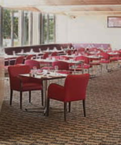 Victoria Hotel - Pubs Sydney 2