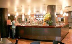 Ryans Paragon Hotel - Pubs Sydney 2