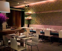 Lotus - Pubs Sydney 1