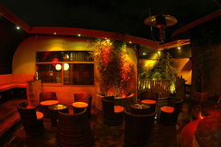 Onesixone - Pubs Sydney 1