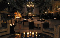Ovolo Woolloomooloo - Pubs Sydney 2