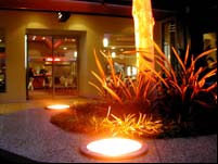 Morphett Arms Hotel - Pubs Sydney 2