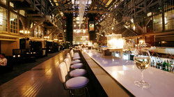 Ovolo Woolloomooloo - Pubs Sydney 3