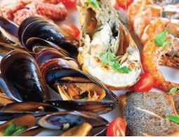 Pelagos Greek Tavern - Pubs Sydney 2
