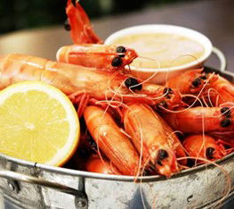 Sandgate QLD Pubs Sydney
