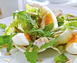 Montville Cafe Bar & Grill - Pubs Sydney 0