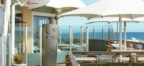 Sammys On The Marina - Pubs Sydney 2