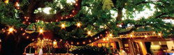 Neutral Bay NSW Pubs Sydney