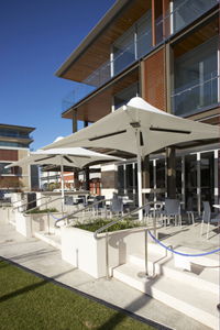 Steves Fine Wine And Food - Pubs Sydney 0