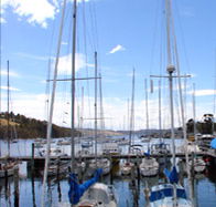 Oyster Cove Inn - Pubs Sydney