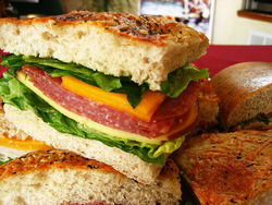 Buzz Cafe - Pubs Sydney 2