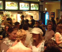 The Steyne - Pubs Sydney 2
