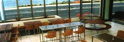 Milano's Hotel - Pubs Sydney 3