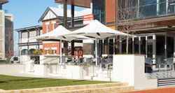 Steves Fine Wine And Food - Pubs Sydney 3