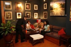Vibe Bar And Restaurant - Pubs Sydney 0