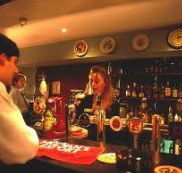 Criterion Hotel - Oak  Ivy Cellar Bar - Pubs Sydney