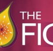 Naked Fig - Pubs Sydney