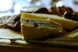 Briars - Pubs Sydney 1
