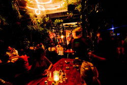 Greenant Cantina - Pubs Sydney 2