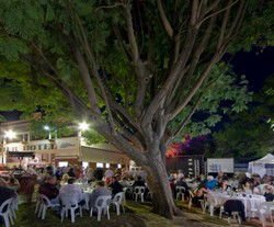 Premier Hotel - Pubs Sydney 2