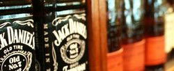 The Whale & Ale - Pubs Sydney 2