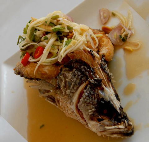 Bermagui Country Club - Pubs Sydney 7