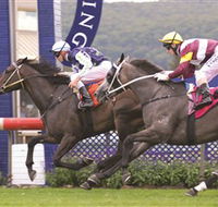Gosford Race Club - Pubs Sydney