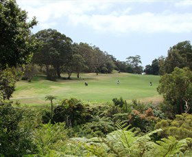 Northbridge Golf Club - Pubs Sydney 1
