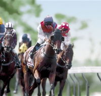 Colac Turf Club - Pubs Sydney