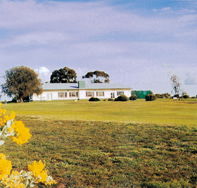 Lucindale Country Club - Pubs Sydney