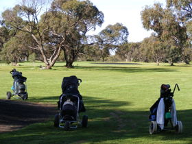Minlaton Golf Club - Pubs Sydney 3