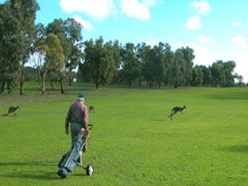 Sleaford SA Pubs Sydney