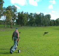 Coffin Bay Golf Club - Pubs Sydney