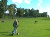 Coffin Bay Golf Club