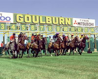 Goulburn and District Racing Club