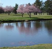 RMC Golf Club - Pubs Sydney